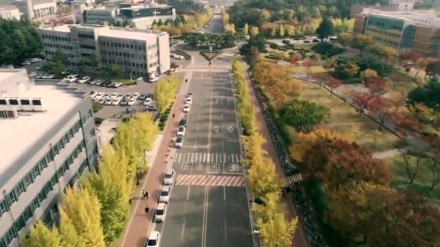 韩国大邱加图立大学