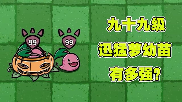 植物大战僵尸：九十九的迅猛萝幼苗到底有多强呢？