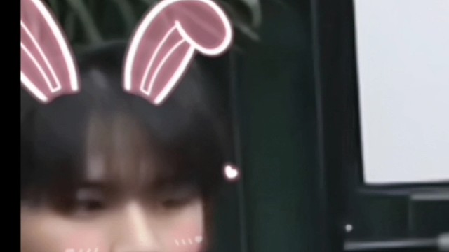 笨蛋无畏哈哈哈哈哈哈