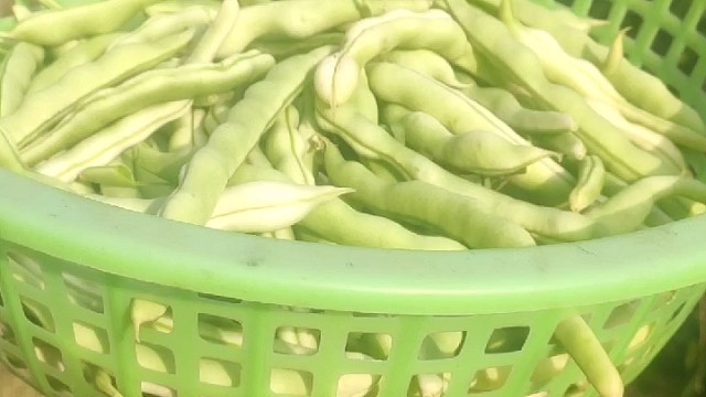 22619（午）杂酱面