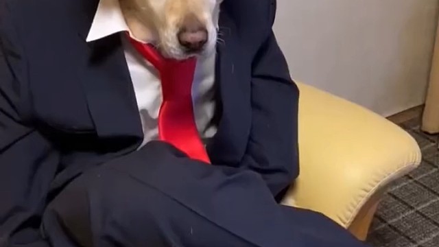 哥几个，又过来学穿搭了！