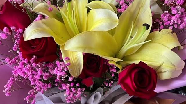 记录每一个幸福的瞬间