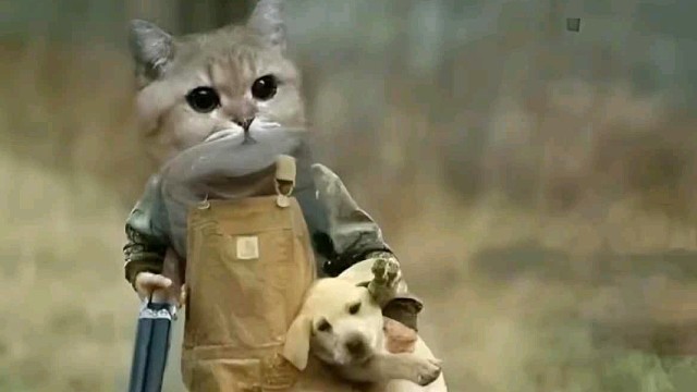 秽土转生，报仇雪恨