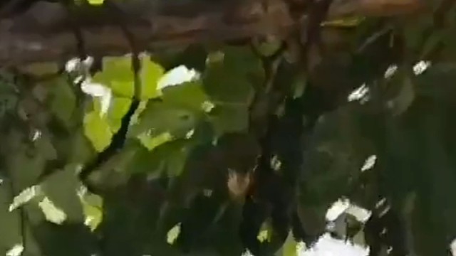 我看了看地上的葡萄，还是选择相信了你