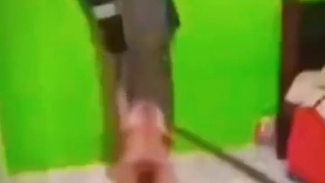 我说有狗拿刀砍我，你还不信