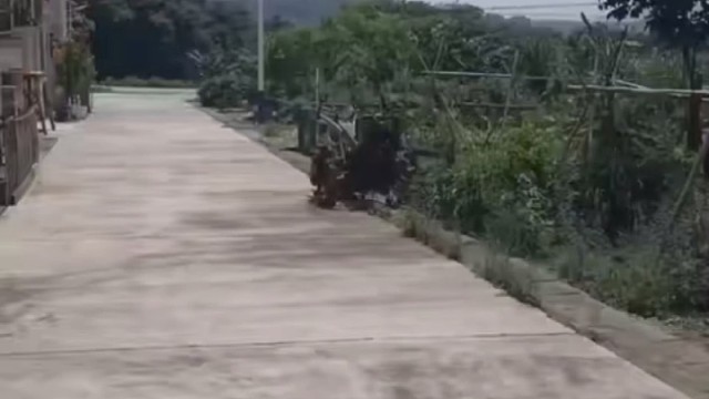 转世剑灵怀旧版