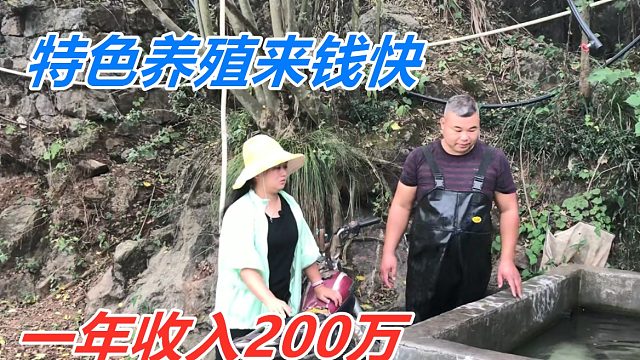 一斤卖40元，一亩地可赚24万，老板有100多亩，年入百万很轻松！