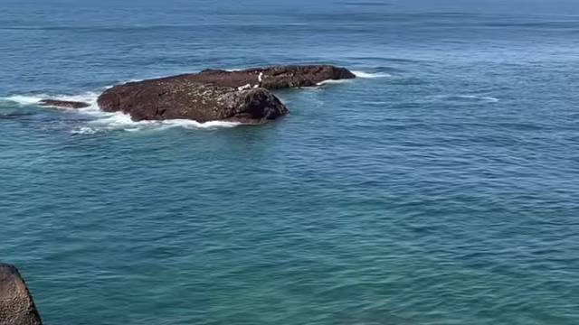 今天海水特别的清