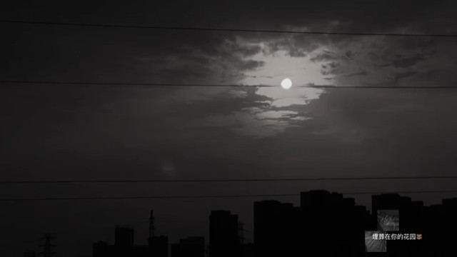 我偷了黄昏的酒
