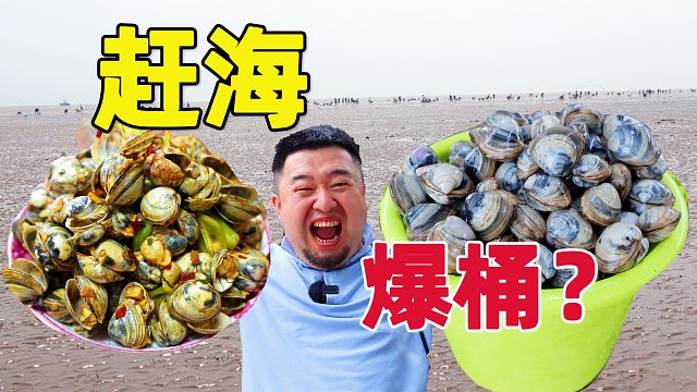 天津也能赶海拾贝，大潮花蛤能挖一桶吗？大辉媳妇做辣炒花蛤