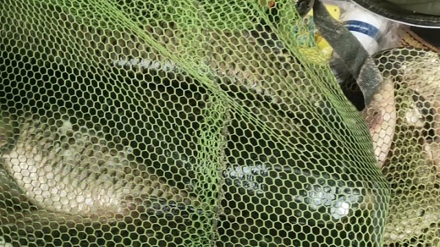 有喜欢钓鱼的朋友进，相互学习