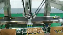 自动装箱机#鑫派科自动化#装箱机