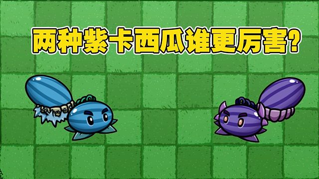 植物大战僵尸：两种紫卡西瓜，谁会更厉害一点呢？