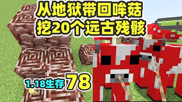 从地狱带回哞菇，挖了20个远古残骸 MC1.18生存78