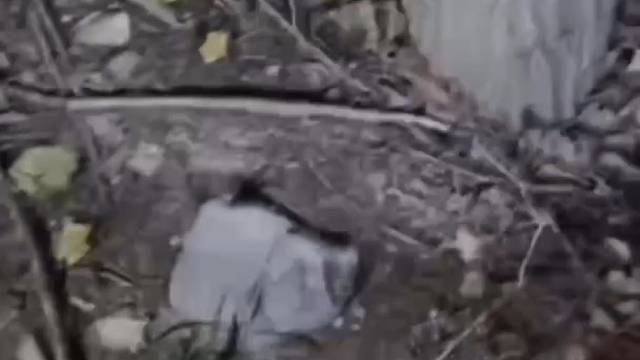 夜晚摸爬叉，你们那里有吗