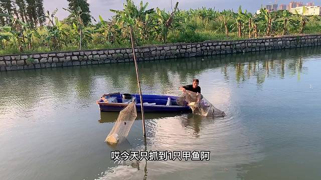 我们的乡野生活充满着惊喜和惊吓。