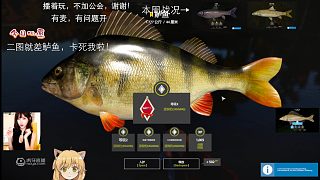 3圖漁夫之鱸魚，剛?cè)酉氯ゾ蜕? style=