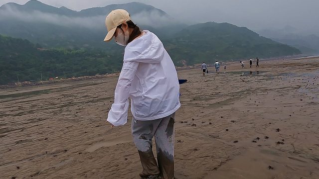 海边退大潮村民全来赶海，抓一桶不起眼的小鱼，竟然能卖几百块