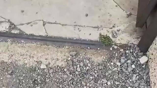 怎么办，她听懂了