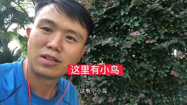 自驾旅行中湖南永州公园！有不怕人的小鸟