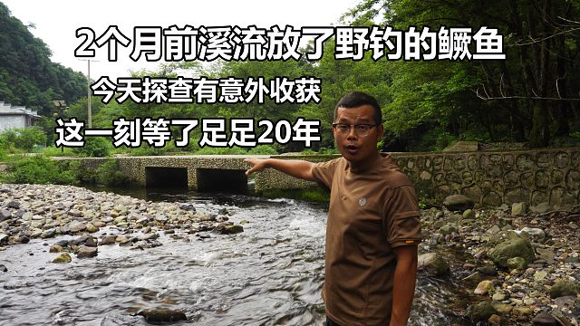 2个月前溪流放了很多鳜鱼，今天有意外发现，这一刻等了足足20年