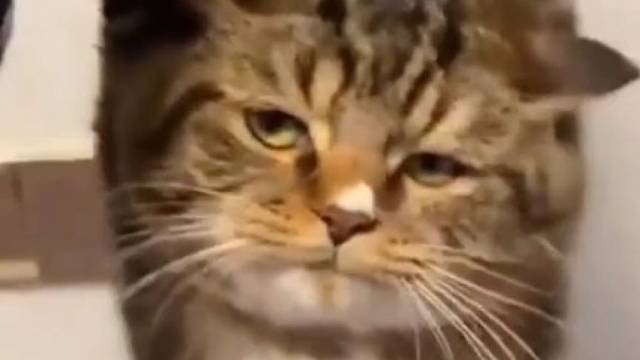 不服都写在脸上了