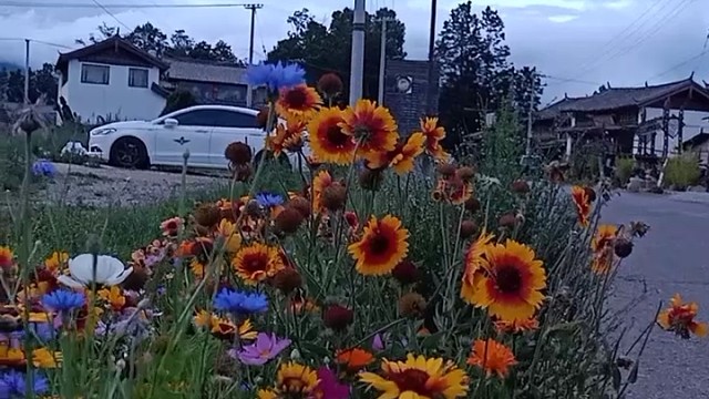 悠闲地乡村生活