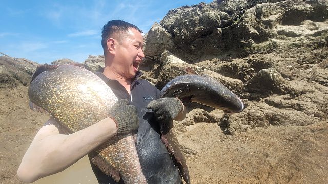 又是大丰收，五米深巨坑刷新以往鱼获记录，光两条大鱼就重达30斤