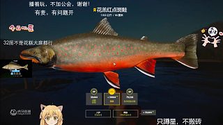 第n條星花糕。老懟著它上，就問(wèn)你敢不敢換個(gè)星？