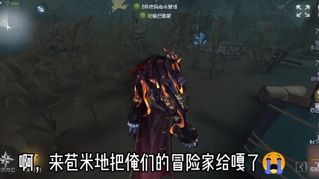 可恶的乌鸡哥居然这么“聪明”！