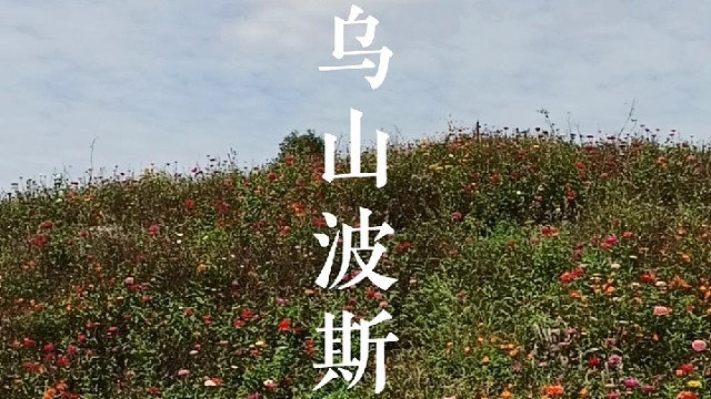 【修远山人】《射乌山波斯菊》