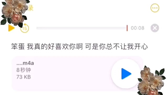 笨蛋（｡ò∀ó｡）