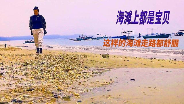 海灘的寶貝太多了