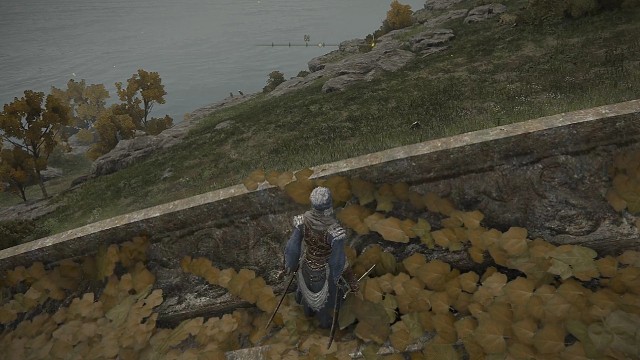 这小山羊成精了