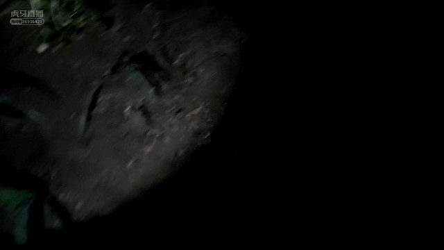 可爱的小蛇……