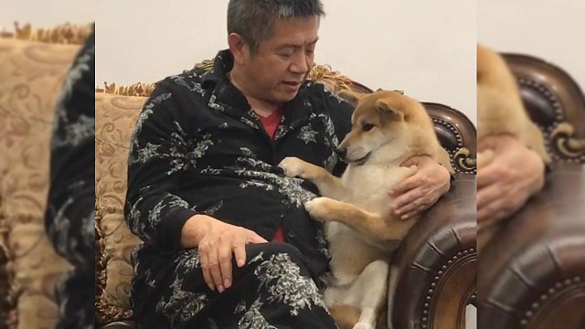 狗狗掉牙了