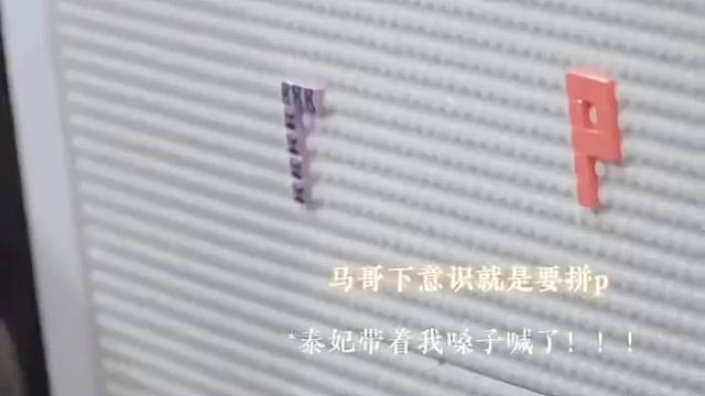 ………~~~~………