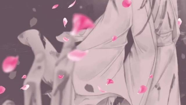 二哈和他的白猫师尊