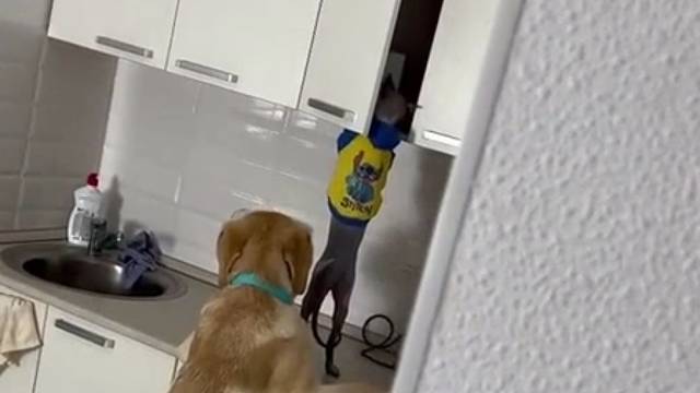 这是干啥呢！这是干啥呢！