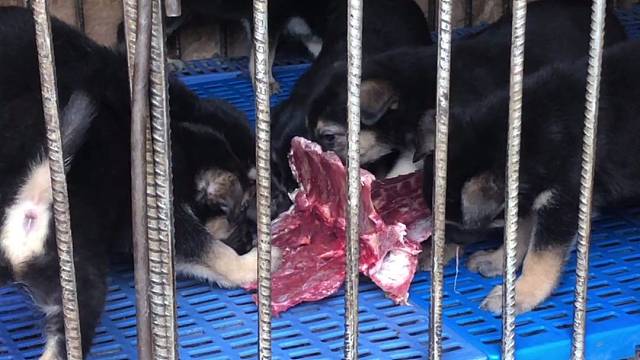 我发布了一个新视频，快来围观吧！