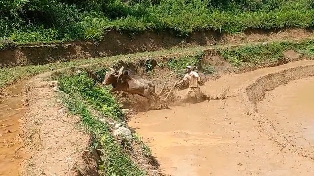 即使敌众我寡！