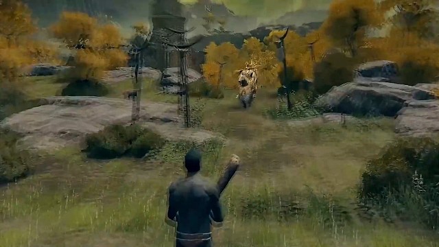 刚入坑老头环时所受的苦难