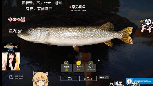 26拉多加之17k大狗。没事想着过来打打狗，刚来40分钟。