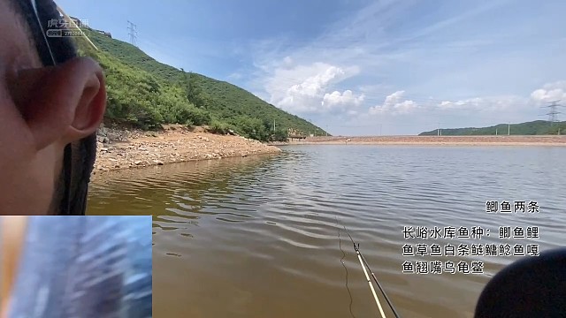 鱼不大，劲不小