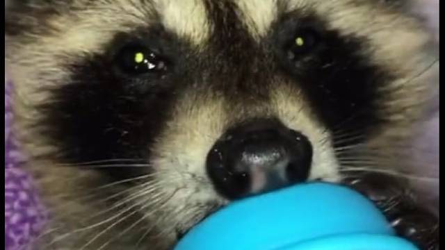 吃喝不愁就行了