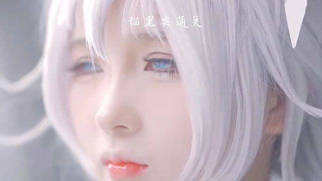 猫里奥通关集合1