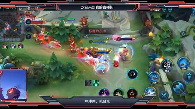 战胜最强组合：卡女+企鹅（2）