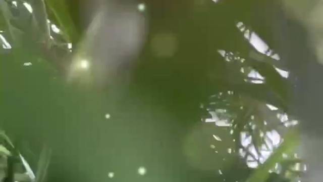 今年买明年住！！！
