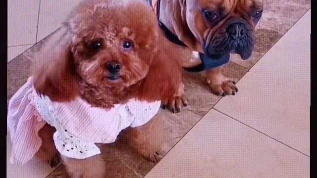 一看就是亲生滴