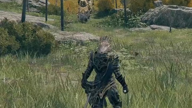 艾尔登之王与他的小弟们~